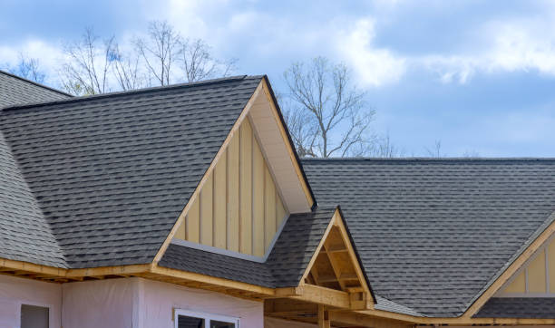 Best Roof Coating and Sealing  in Chillicothe, OH